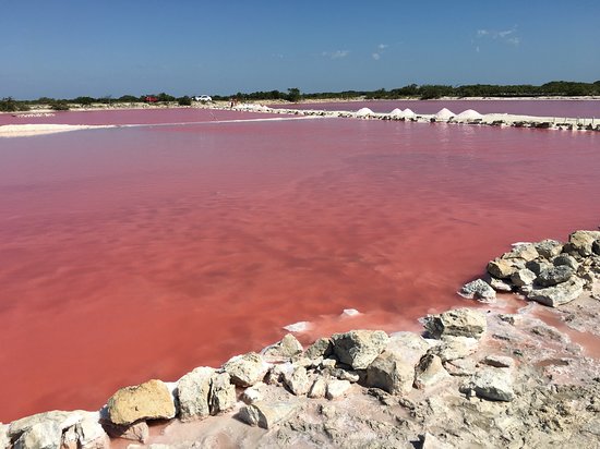 Laguna Rosada cerca de Telchac Puerto